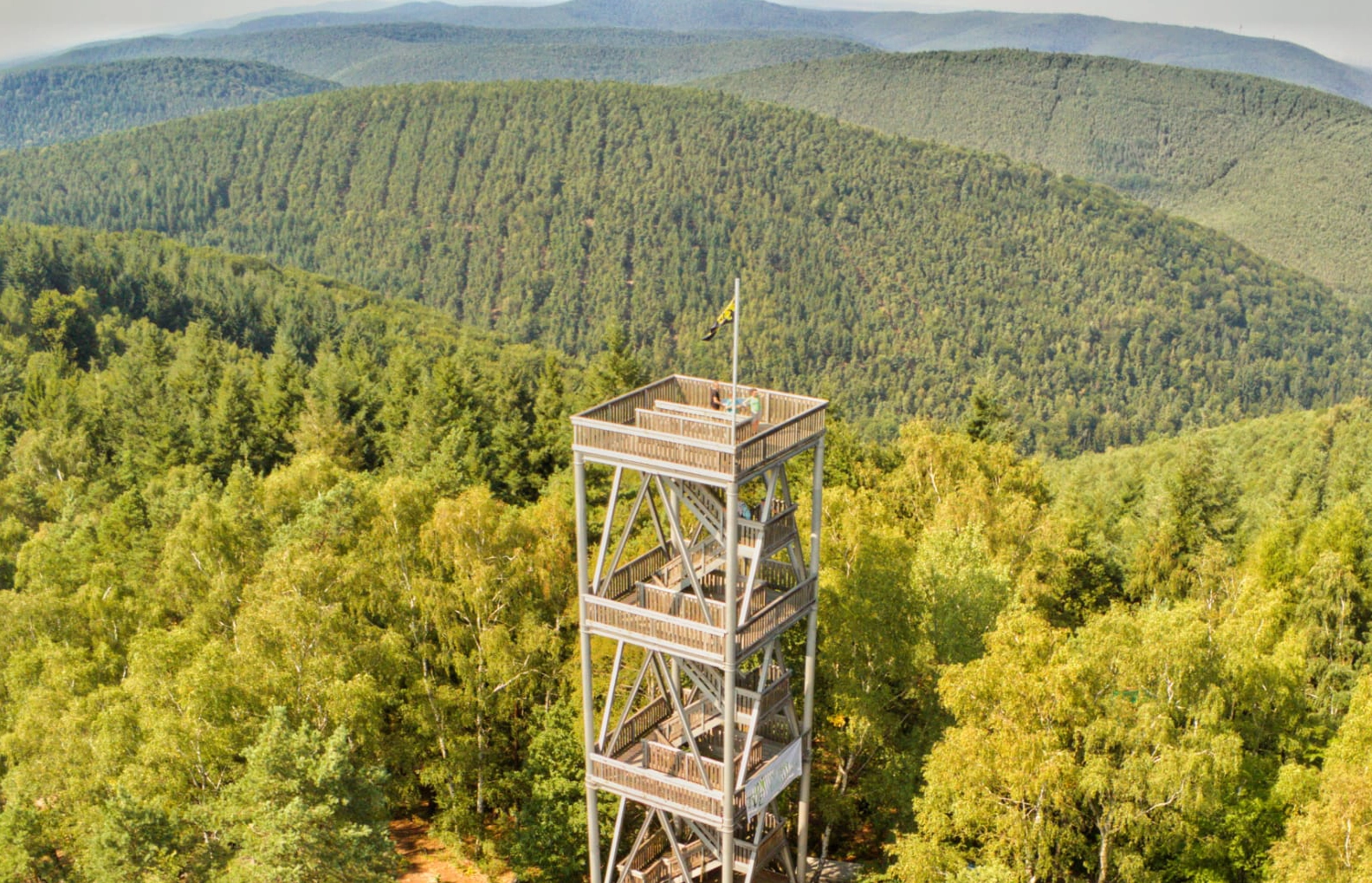 Aussichtsturm auf dem Eckkopf umgeben von Bäumen nahe Deidesheim